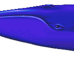 The Pod (Foreground) - Ecco: The Tides of Time