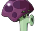 Scaredy-shroom (Beta) - Plants vs. Zombies 2