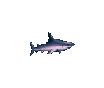 Sonar Map Objects - Ecco the Dolphin