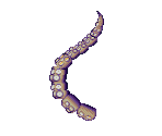 Octopus Arm - Ecco: The Tides of Time