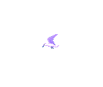 Seagull - Ecco: The Tides of Time