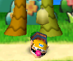 Coconut Conk - Mario Party 3