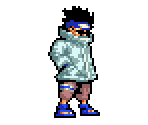 Shino - Naruto: Ninja Council 2