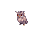 Wise Owl - Trickster Online