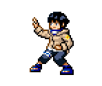 Hinata - Naruto: Path of the Ninja 2