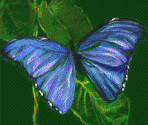 Bugs - Amazon Trail 3rd Edition