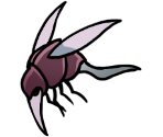 Armoured Squit - Hollow Knight