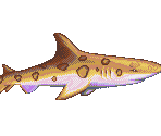Leopard Shark - Ecco the Dolphin