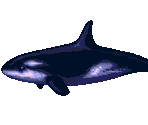 Orca - Ecco the Dolphin