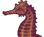 Seahorse - Ecco the Dolphin