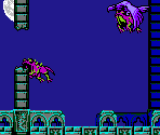 Dark Eagle & Toad - Bloodstained: Curse of the Moon