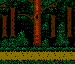The Woods - Friday the 13th (USA)