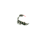 Scorpion - Osman