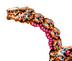 Sandora - Osman