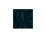 Backgrounds - Xenoblade Chronicles 2