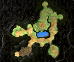 Tropical Forest Map - Pikmin 3