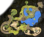 Shaded Garden Map - Pikmin 3