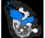 Silver Lake (Battle Enemies) Map - Pikmin 3
