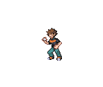 Brock - Pokémon Generation 1 Customs