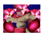 Monster Card Photos - Monster Rancher 2