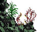 Aqua Maze - Ecco Jr.