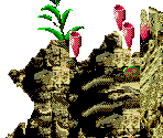 Home Sea - Ecco Jr.