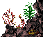 Ocean Tag - Ecco Jr.