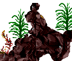 Octopus Passage - Ecco Jr.