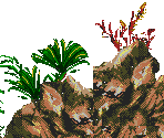 Shell Round Up - Ecco Jr.