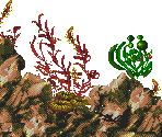 The Fish Caves - Ecco Jr.