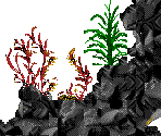 Turtle Islands - Ecco Jr.