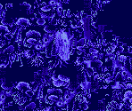 Vents of Pearl (Background) - Ecco Jr.