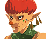 Shopkeeper Mugshots - Hyrule Warriors: Age of Calamity