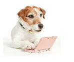 Krysta - nintendogs + cats - Swapnote