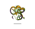 Ryuuzoku - Shin Megami Tensei if... (JPN)