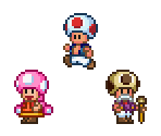 Toad, Toadette, & Toadsworth - Mario Customs