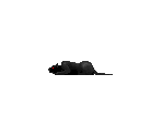 Black Panther - Castlevania: Symphony of the Night