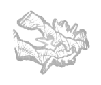 Offerings - Dead by Daylight