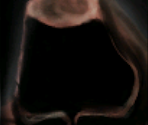 Hero Portraits - Age of Wonders