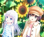 Pocket Route - Summer Pockets