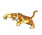 Tiger - Asterix