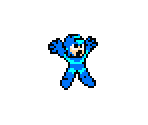 Mega Man - Mega Man Customs