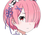 Ram - Re: Zero INFINITY