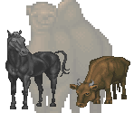 Animals - The Elder Scrolls II: Daggerfall
