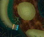 DS Luigi's Mansion - Mario Kart 7