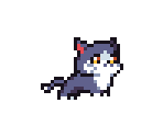 Cat - Forager