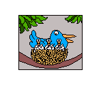 Baby Birds - Sammy's Science House