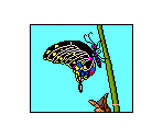 Butterfly - Sammy's Science House