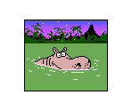 Hippopotamus - Sammy's Science House