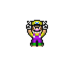Wario - Wario Customs